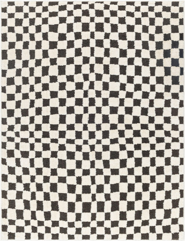 Livabliss Freud Turkey Woven High Pile Runner Rug for Hallways Entryways and Kitchen Corridors Black, Ivory 9'2" x 12' FEU2302-9212