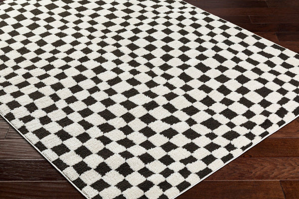 Livabliss Freud Turkey Woven High Pile Runner Rug for Hallways Entryways and Kitchen Corridors Black, Ivory 9'2" x 12' FEU2302-9212