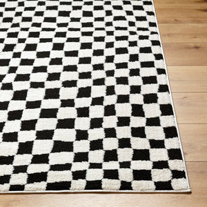 Livabliss Freud Turkey Woven High Pile Runner Rug for Hallways Entryways and Kitchen Corridors Black, Ivory 9'2" x 12' FEU2302-9212