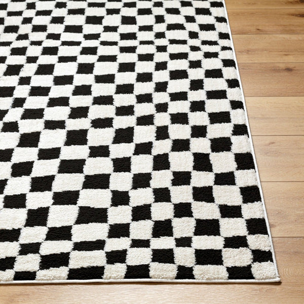 Livabliss Freud Turkey Woven High Pile Runner Rug for Hallways Entryways and Kitchen Corridors Black, Ivory 9'2" x 12' FEU2302-9212