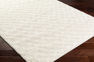 Livabliss Freud Turkish Machine Woven High Pile Runner Rug for Hallway and Entryway White, Ivory 2'7" x 7'3" FEU2306-2773