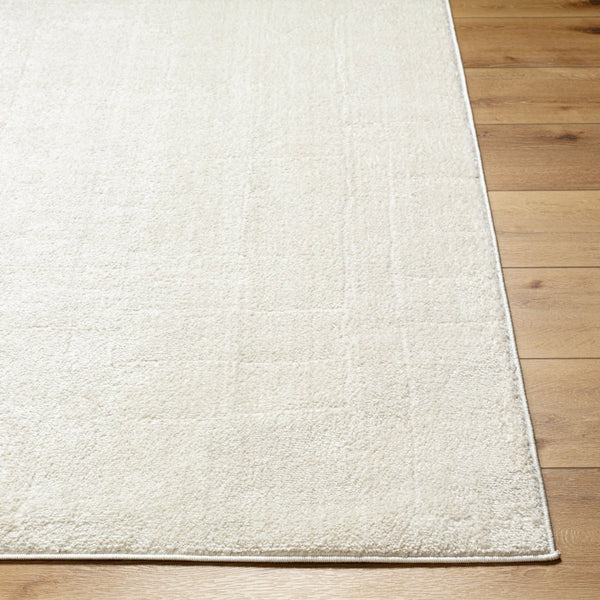Livabliss Freud Plush Polyester Runner Rug Turkish Woven High Pile Hallway Entryway Accent Ivory, White 9'2" x 12' FEU2309-9212