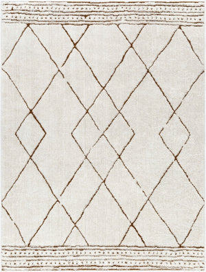 Livabliss Freud High Pile Polyester Area Rug Machine Woven Plush Floor Accent for Living Rooms FEU2323-9212