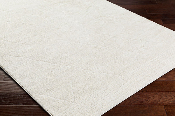 Livabliss Freud High Pile Polyester Runner Rug Intricate Pattern for Hallway or Bedroom Ivory, White 9'2" x 12' FEU2324-9212
