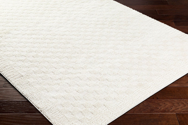 Livabliss Freud Plush High Pile Polyester Runner Rug Woven in Turkey for Hallways and Entryways Ivory, White 5'3" x 7' FEU2327-537