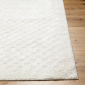Livabliss Freud Plush High Pile Polyester Runner Rug Woven in Turkey for Hallways and Entryways Ivory, White 5'3" x 7' FEU2327-537