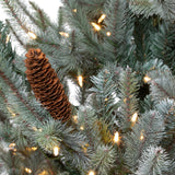 Park Hill Blue Spruce Christmas Tree, 4.5' XPQ82163 Park Hill