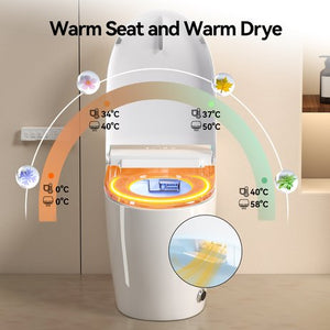 English Elm Unique Smart One Piece Toilet Bidet Combo with Auto Lid Warm Air Dryer Heated Seat W3133P476384