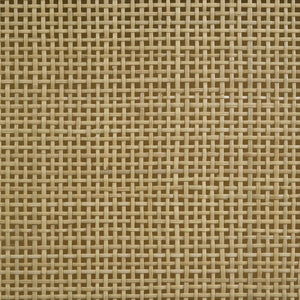 English Elm Anser Woven Rattan Queen Bed - Modern Coastal Charm With Black Wood Frame & Textured Design Elegance B062S01249