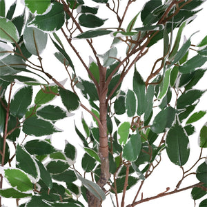 English Elm Christopher Knight Home® - 51" Lifelike Artificial Ficus Tree In Black Pot - Perfect Indoor Décor For Low-Maintenance Elegance N772P286769G
