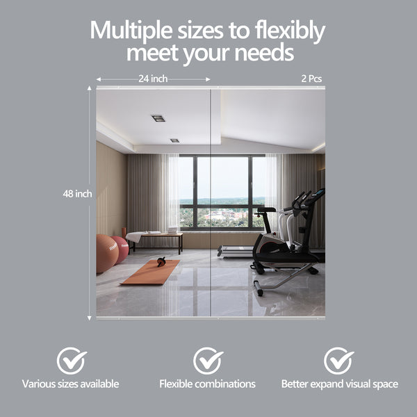 English Elm 67x24 Tempered Glass 2-Pack Home Gym Mirrors, Framed Silver, HD Shatterproof Reflection for Fitness T3757P347061