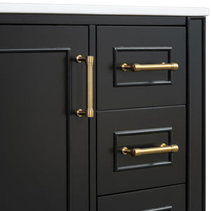 English Elm Traditional 30" Bathroom Vanity with Ceramic Basin, Soft-Close Door & Drawers, Gold Handles, Durable Wood Finish Black N729P184479B