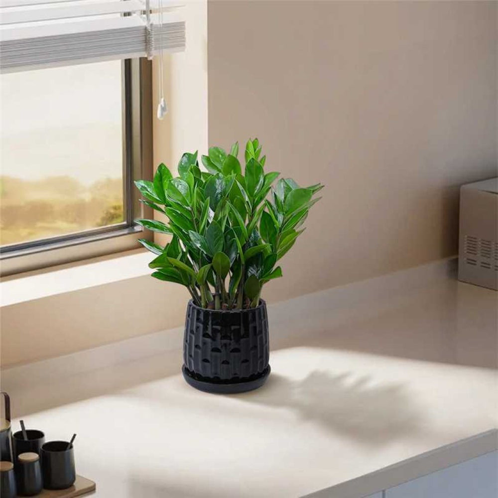 English Elm Set Of 2 Ceramic Flowerpots - 7" Modern Black Planters For Stylish Patio, Garden & Windowsill Decor W3273P322303-GIGA