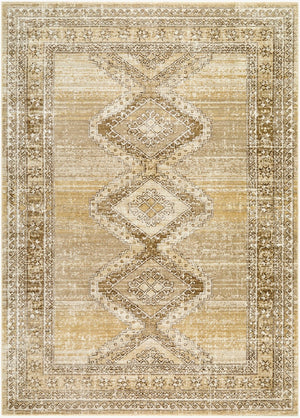 Livabliss Fifth Avenue Traditional Runner Rug Polypropylene Fringe Hallway Entryway Turkish Woven Light Gray, Tan 2'6" x 7'3" FIF2312-2673