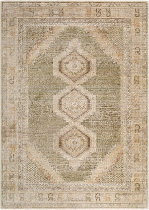 Livabliss Fifth Avenue Bohemian Global Runner Rug with Fringe Polypropylene Hallway Accent Taupe, Light Ol 7'10" x 10'2" FIF2320-710102