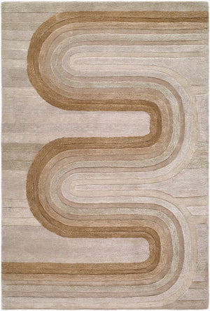 Surya Fuji Collection Hand Tufted Wool Viscose Area Rug for Mid Century Modern Living Rooms 10' x 14' Rectangle FJJ2300-1014