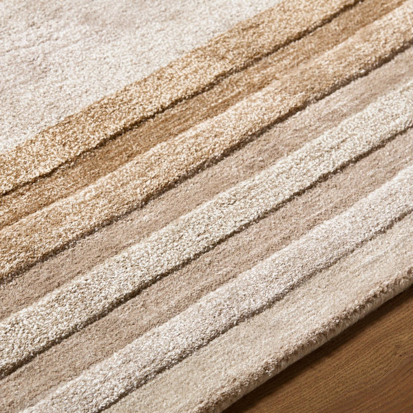 Surya Fuji Collection Hand Tufted Wool Viscose Area Rug for Mid Century Modern Living Rooms 10' x 14' Rectangle FJJ2300-1014