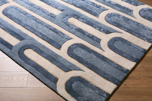 Surya Fuji Hand Tufted Wool Viscose Area Rug Mid Century Modern Living Room Accent 5' x 7'6" Rectangle FJJ2301-576