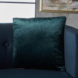 Christopher Knight Home® Noble House Pillow