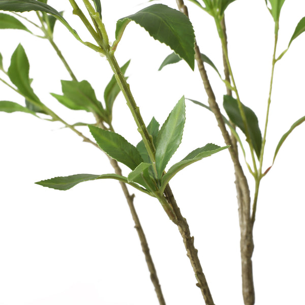 English Elm 210cmartificial Pieris Tree Nearly 7 Foot Faux Indoor Statement Plant Iron Frame 74346.00
