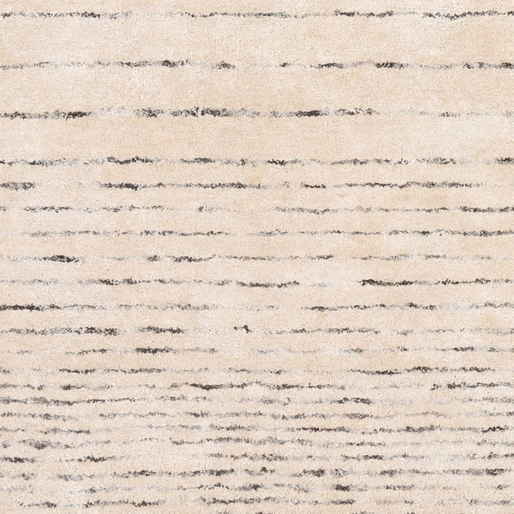 Surya Falcon 2' X 3' Handmade Viscose & Wool Area Rug - Luxurious, Stylish, And Easy To Maintain For Your Home Black Viscose,Wool Flc8004-23