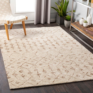 Surya Falcon 2' X 3' Handmade Viscose & Wool Area Rug - Luxurious, Stylish, And Easy To Maintain For Your Home Light Beige Viscose,Wool Flc8012-23