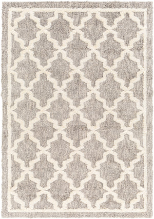 Florida FLD-2301 7'10" x 10' Machine Woven Rug FLD2301-71010 Livabliss Surya