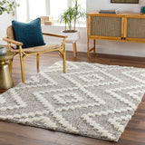 Florida FLD-2304 7'10" x 10' Machine Woven Rug FLD2304-71010 Livabliss Surya