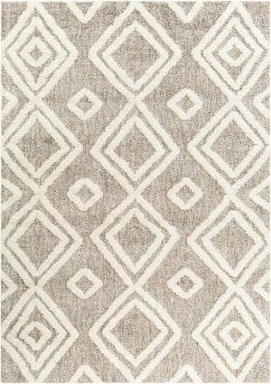 Florida FLD-2307 7'10" x 10' Machine Woven Rug FLD2307-71010 Livabliss Surya