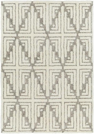 Florida FLD-2309 7'10" x 10' Machine Woven Rug FLD2309-71010 Livabliss Surya