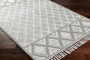 Livabliss Fleur Handwoven Boho Accent Rug with Fringe Eco Recycled Yarn Entryway Bedroom Slate, Charcoal 27" x 45" FLE2300-2339
