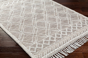 Livabliss Fleur Handwoven Bohemian Accent Rug Recycled Pet Yarn Fringe Artisan Bedside Floor White, Dark Bro 27" x 45" FLE2302-2339
