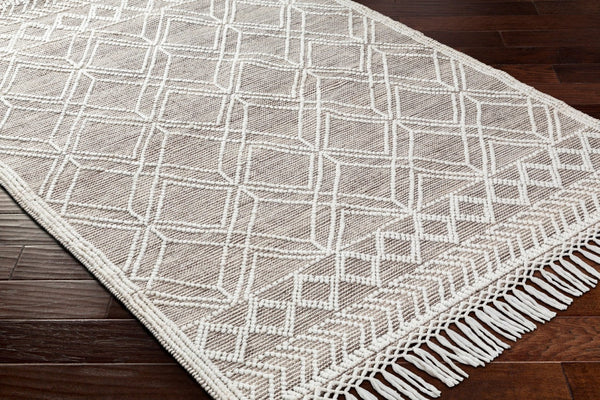 Livabliss Fleur Handwoven Bohemian Accent Rug Recycled Pet Yarn Fringe Artisan Bedside Floor White, Dark Bro 27" x 45" FLE2302-2339