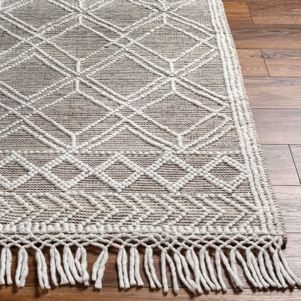 Livabliss Fleur Handwoven Bohemian Accent Rug Recycled Pet Yarn Fringe Artisan Bedside Floor White, Dark Bro 27" x 45" FLE2302-2339