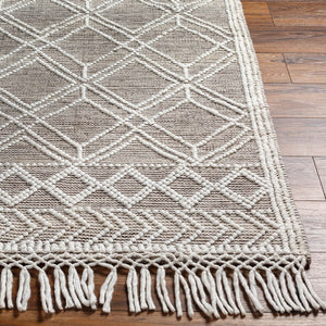 Livabliss Fleur Handwoven Bohemian Accent Rug Recycled Pet Yarn Fringe Artisan Bedside Floor White, Dark Bro 27" x 45" FLE2302-2339