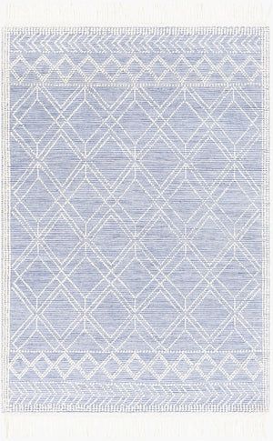 Livabliss Fleur Handwoven Recycled Pet Area Rug with Fringe Global Bohemian Living Room Accent FLE2303-576