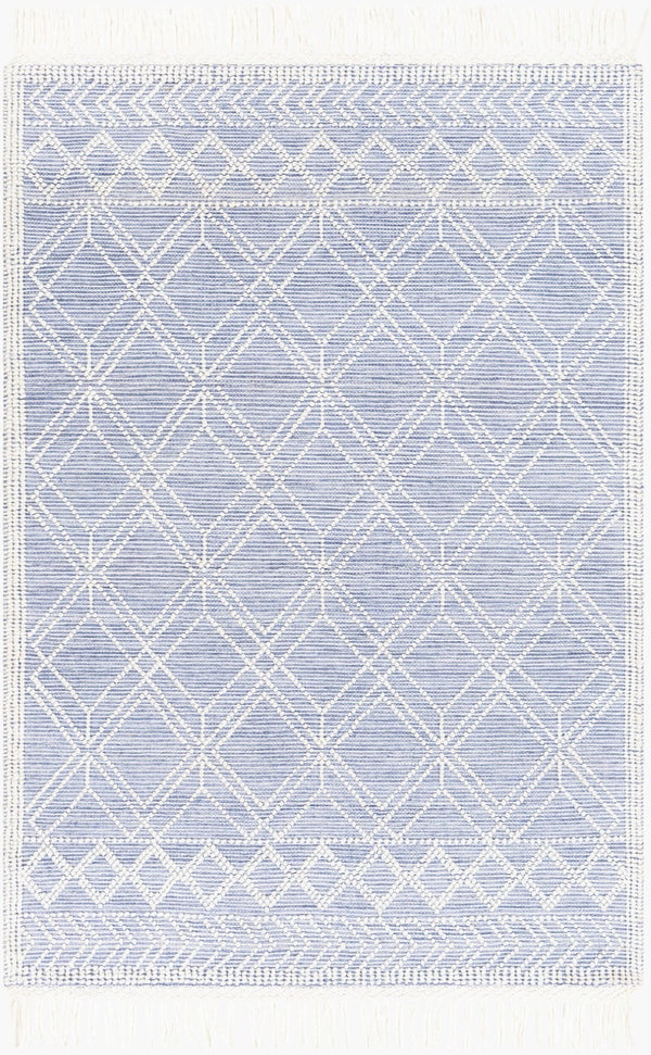 Livabliss Fleur Handwoven Recycled Pet Area Rug with Fringe Global Bohemian Living Room Accent FLE2303-576