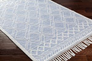 Livabliss Fleur Handwoven Recycled Pet Area Rug with Fringe Global Bohemian Living Room Accent FLE2303-576