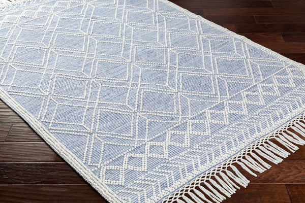 Livabliss Fleur Handwoven Recycled Pet Area Rug with Fringe Global Bohemian Living Room Accent FLE2303-576