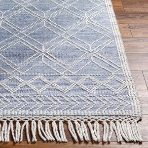 Livabliss Fleur Handwoven Recycled Pet Area Rug with Fringe Global Bohemian Living Room Accent FLE2303-576