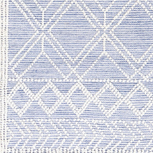 Livabliss Fleur Handwoven Recycled Pet Area Rug with Fringe Global Bohemian Living Room Accent FLE2303-576
