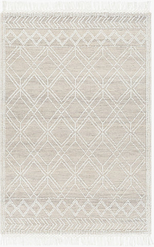 Livabliss Fleur Hand-woven Recycled Pet Area Rug with Fringe Artisan Global Living Room Accent FLE2304-810
