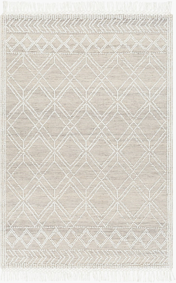 Livabliss Fleur Hand-woven Recycled Pet Area Rug with Fringe Artisan Global Living Room Accent FLE2304-810