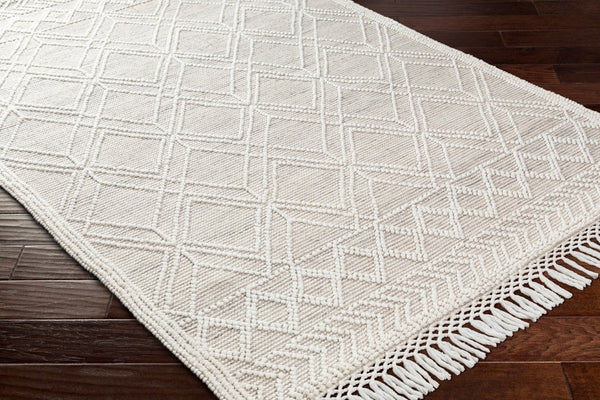 Livabliss Fleur Hand-woven Recycled Pet Area Rug with Fringe Artisan Global Living Room Accent FLE2304-810