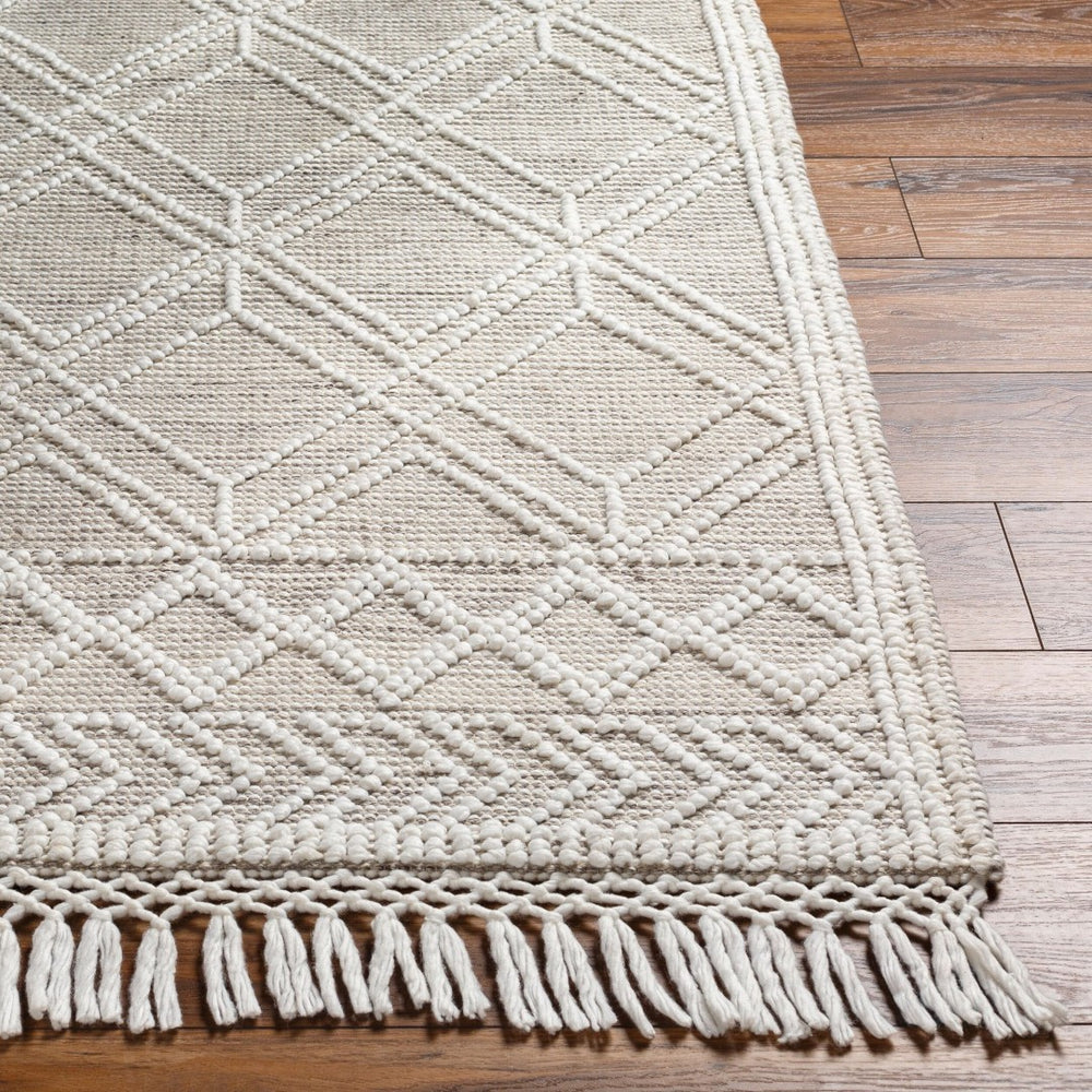 Livabliss Fleur Hand-woven Recycled Pet Area Rug with Fringe Artisan Global Living Room Accent FLE2304-810