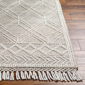 Livabliss Fleur Hand-woven Recycled Pet Area Rug with Fringe Artisan Global Living Room Accent FLE2304-810