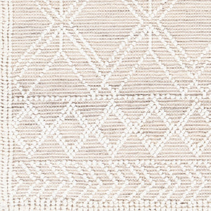 Livabliss Fleur Hand-woven Recycled Pet Area Rug with Fringe Artisan Global Living Room Accent FLE2304-810