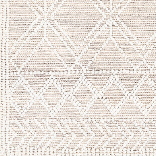 Livabliss Fleur Hand-woven Recycled Pet Area Rug with Fringe Artisan Global Living Room Accent FLE2304-810