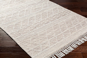 Livabliss Fleur Hand Woven Artisan Area Rug with Fringe Global Bohemian Style for Any Room White, Dark Bro 5' x 7'6" FLE2306-576