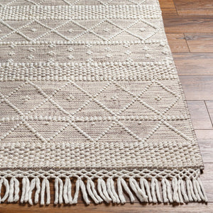 Livabliss Fleur Hand Woven Artisan Area Rug with Fringe Global Bohemian Style for Any Room White, Dark Bro 5' x 7'6" FLE2306-576